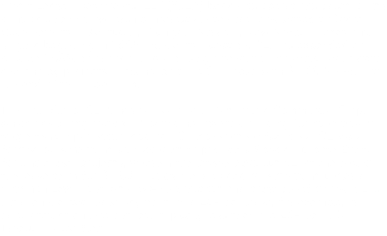 Credit Lease Investments, LLC ("CLI") began its operations based on its principals having ownership interests in ten facilities leased to State Governments in Kentucky, Michigan, Missouri, New Mexico, Texas and Virginia beginning in 1999. Since its inception, CLI has expanded to provide 100% of project funds for single tenant commercial real estate and energy projects in exchange for a CLI Lease with $1.00 buy-out at the end of the lease term. The provider of CLI funds is its affiliate, Amerifund Commercial Corp., which has a long history of providing low yield funding for hundreds of single tenant projects including 131 government facilities. CLI was formed by Amerifund as a conduit to provide a Special Purpose Entity for single user projects, wherein the lessee buys out CLI at the end of the lease term for $1.00. Funds are provided by Amerifund under a Common Law Trust with low-yield institutional trust beneficiaries. CLI’s initial annualized lease payment on a 20-year lease, for example, is calculated at an interest rate typically less than the 20-year U.S. Treasury Note Yield.