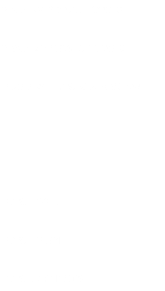 MINIMUM PROJECT COSTS: MAXIMUM PROJECT COSTS: LESSEE or LEASE GUARANTOR: LEASE TYPE: LEASE TERM: LEASE PAYMENTS: