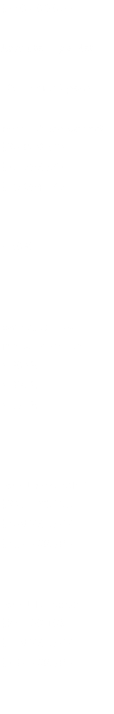 $250,000,000 Absolute Triple Net 10, 15 or 20 years PAYMENT (annualized) $30,808,564 $22,792,942 $19,094,747  2.50% RATE to CALCULATE INITIAL PAYMENT 4.304% 4.397% 4.571% TOTAL PAYMENTS $345,160,109 $408,721,367 $487,768,780 TOTAL INTEREST $95,160,109 $158,721,367 $237,768,780 